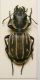DSCN9065.JPG