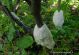 DSCN7659.jpg