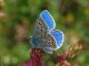 DSC_0434.jpg