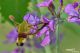 DSC_9360-8.jpg