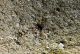 DSC09983.JPG