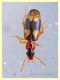 probabile Calodromius sp. circa 4 mm. - Anzio 12.5.2018 (3).JPG