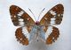 100_0704.jpg