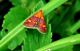 DSC00620.JPG