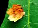 DSC00711.JPG