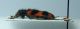 DSCN3638.JPG
