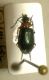 20180705_225228.jpg