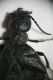 2018-07-06 18-00-12 (B,Radius8,Smoothing4).jpg