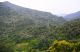 DSC_0833.JPG