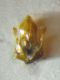 Icteranthidium 007 A.jpg