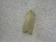 DSC01983.JPG