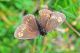 DSC_1508.jpg