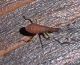 P1020131.JPG