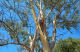 DSC_1021.JPG