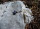 DSC03635.JPG