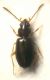DSCN3803.JPG