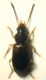 DSCN3805.JPG