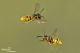 DSC_3068-2.jpg