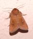 DSCN9101 b.JPG