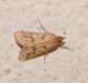 DSCN9058.JPG