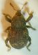 DSCN3822.JPG