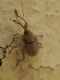 DSCN4878.JPG