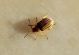 DSC01194.JPG