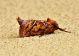 DSC01176.JPG