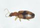 rsz_dsc_5305.jpg