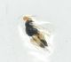 rsz_dsc_5347.jpg