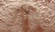 DSCN9107.JPG