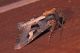 DSCN9302.JPG
