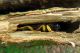 6-DSCN8019-okit.jpg
