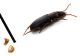 Comb2576_34zL6cr.jpg