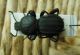 DSCN8511-okit.jpg