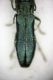 Agrilus.JPG