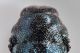 4 buprestidae baronessa _modificato-1.jpg