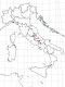 Neoplinthus tigratus tigratus (Rossi, 1792).JPG