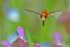 ABC_2647-8.jpg