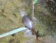 DSCN0432.JPG