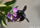 DSC_2617 - copia.JPG