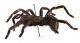 Comb2657_23zL6cr.jpg