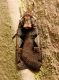 DSCN5561.JPG