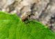 DSC05059.JPG