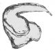 20190503_235740.jpg