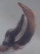 A 3.jpg