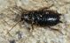 LagoLiscia080519 001mod.jpg