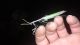 20190605_233951.jpg