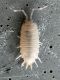DSCN5967.JPG