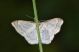20190608_213804_resize_79.jpg